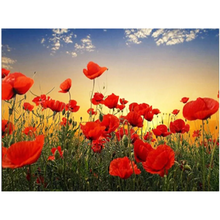 

5D Diamond Painting Poppy Flower Cross Stitch Full Square Diamond Embroidery Sale Rhinestone Mosaic Home Decoration