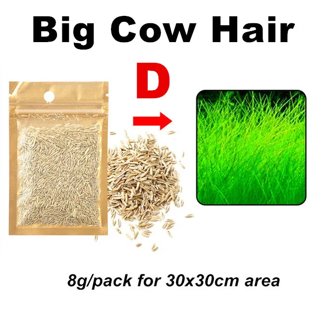 Big Cow Grass 6 стилей водяное растение для аквариума семена живой гемиантус каллитрихоиды Eleocharis аквариум трава газонный ковер украшение аквариума - Цвет: Big Cow Grass