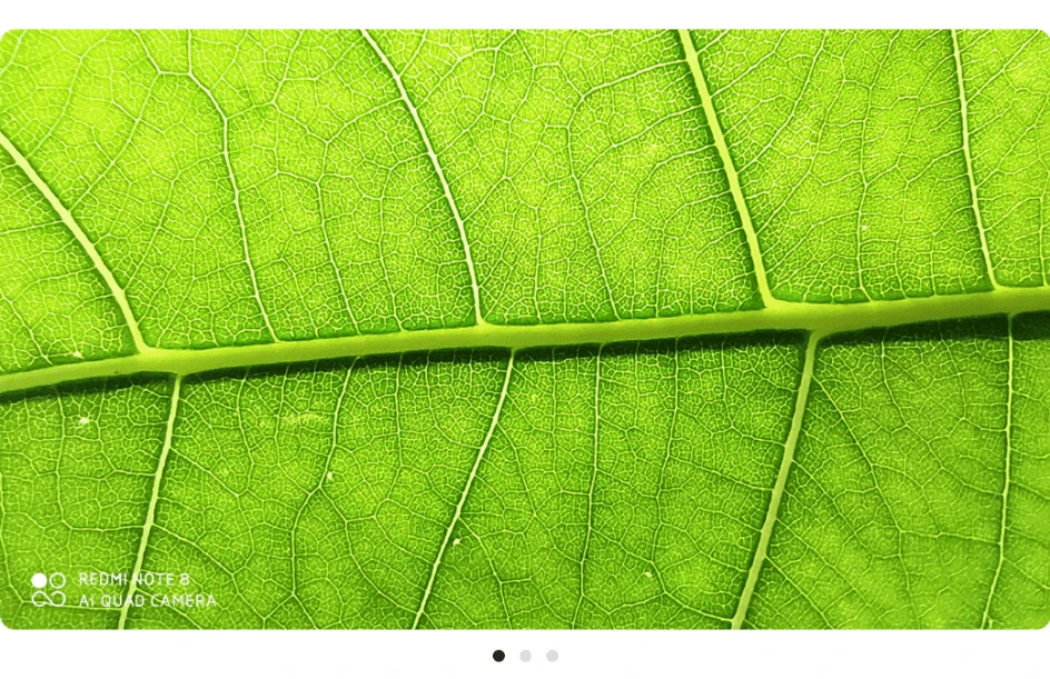 Смартфон Xiaomi Redmi Note 8 с глобальной версией, 3 ГБ, 32 ГБ, Восьмиядерный процессор Snapdragon 665, 4000 мАч, 6,3 дюйма, FHD, 48 МП, четырехъядерный мобильный телефон