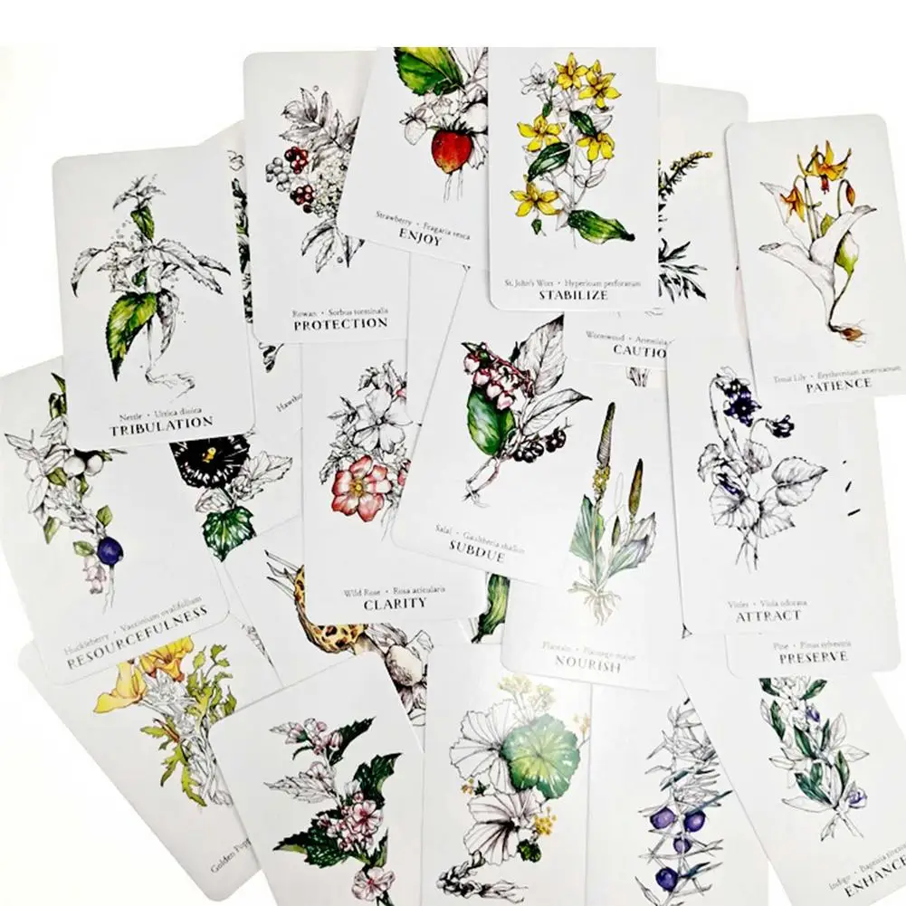 Лидер продаж ботанические карты с изображением ведьмы изгороди и оркула 40 шт.