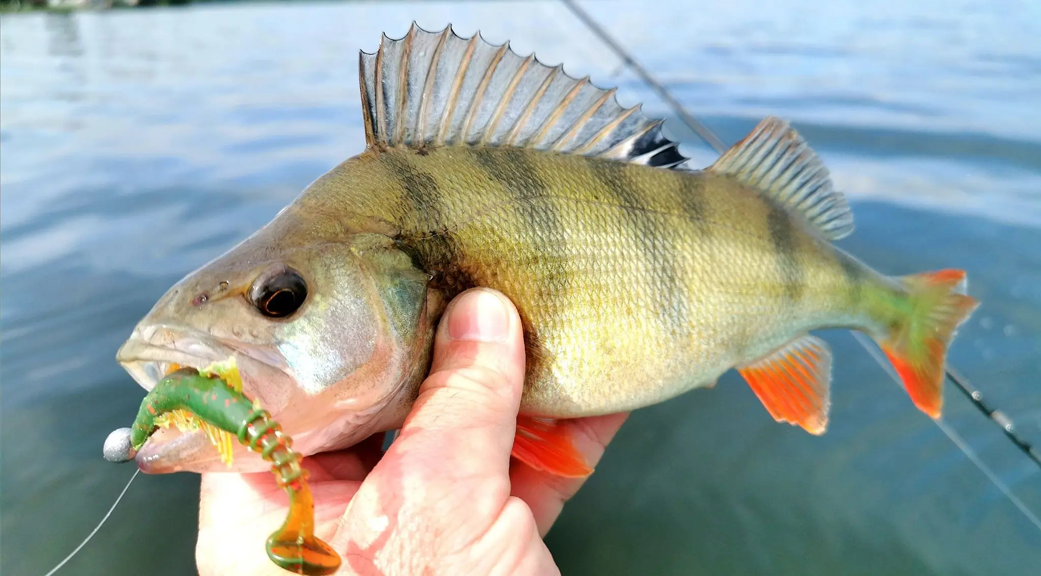 ESFISHING рыболовные приманки Мягкая приманка багги 70 мм 2 5 г 10 шт. свимбейт