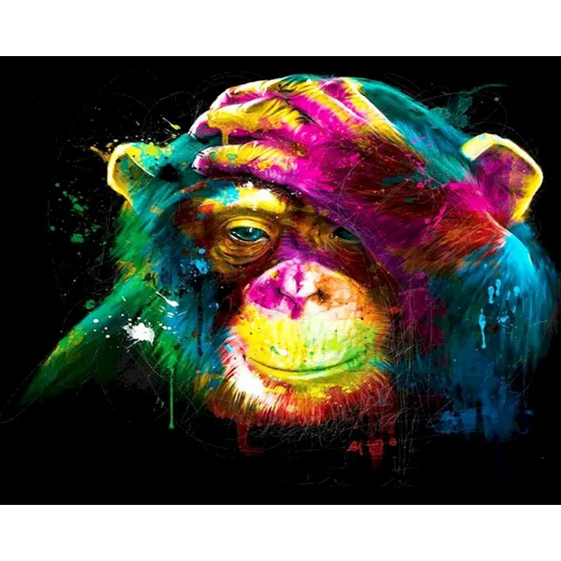 

SELILALI Colorful Monkey Animal Painting By Numbers Kits Diy Framed Draw On Canvas Home Wall Decor Picture By Number DIY Gift