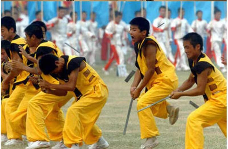 Борд шаолина кунг-фу 52 см борд для занятий боевым спортом боевыми войсками сплав |