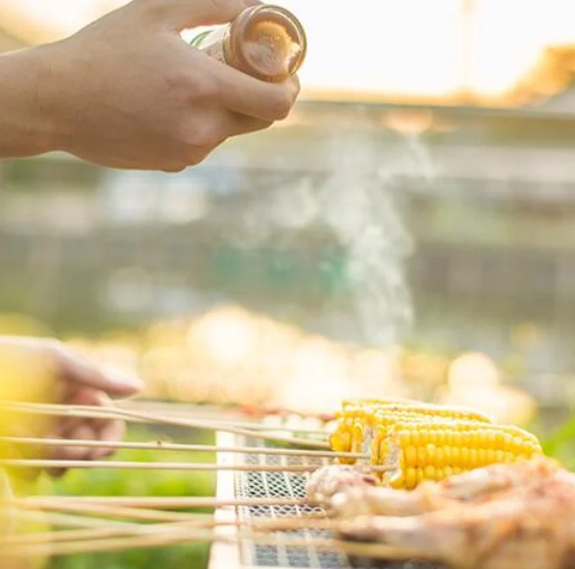 Сад древесный уголь для барбекю терраса вечерние Пособия по кулинарии складной