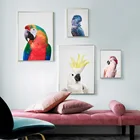 Galah печать Какаду австралийская птица плакат настенное Искусство Холст Живопись австралийских животных Современная фотография декор для детской комнаты