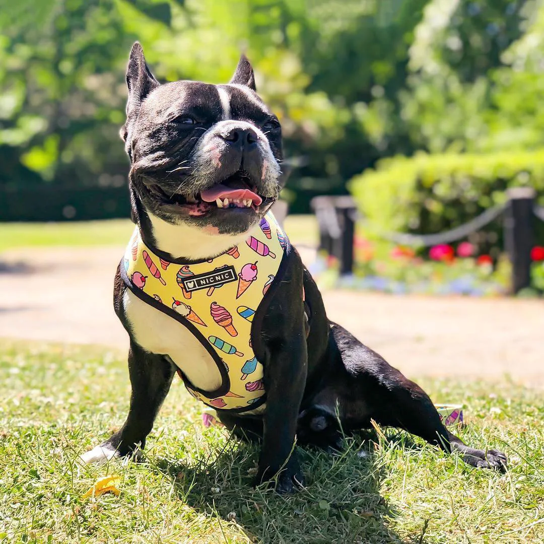 

French Bulldog Print Dog Harness Adjustable Mesh Harness With Leash Small Medium Dogs Pet Harness Vest Pet Supplies Products