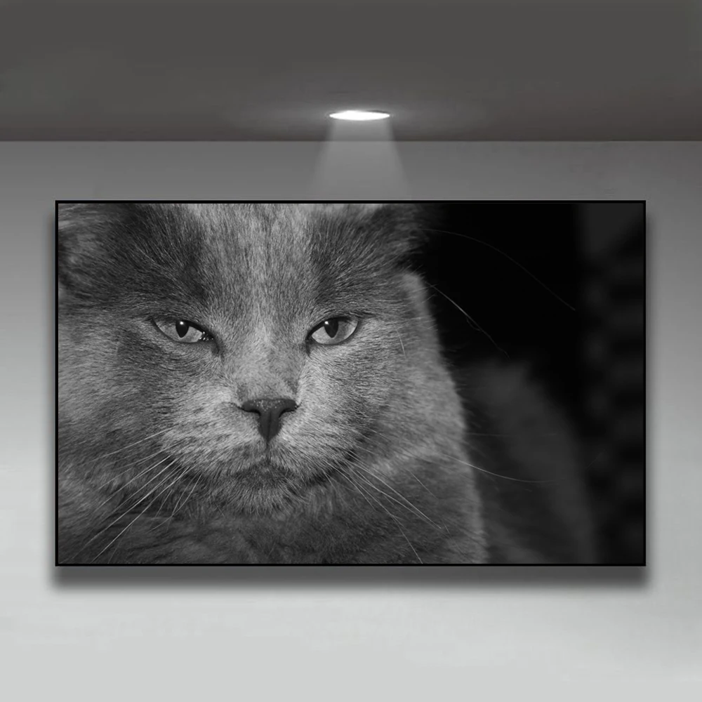 

Animal landscape oil painting gray cat art oil painting living room corridor bar home decoration mural