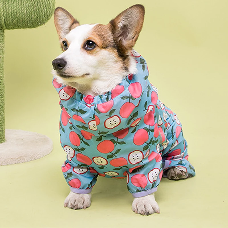 Дождевик с надписью ФБР (L-6XL Водонепроницаемый вельш корги плащ-дождевик