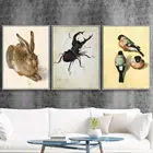 Домашний декор Albrecht Durer, Картина на холсте, постер с птицами, современное растение, настенное искусство, Модульная картина с насекомыми, рамка для спальни