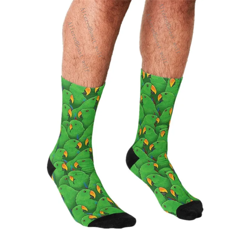 

Men's Funny socks Male Eclectus Parrots Socks harajuku Men Happy hip hop Novelty cute boys Crew Casual Crazy Socks for men