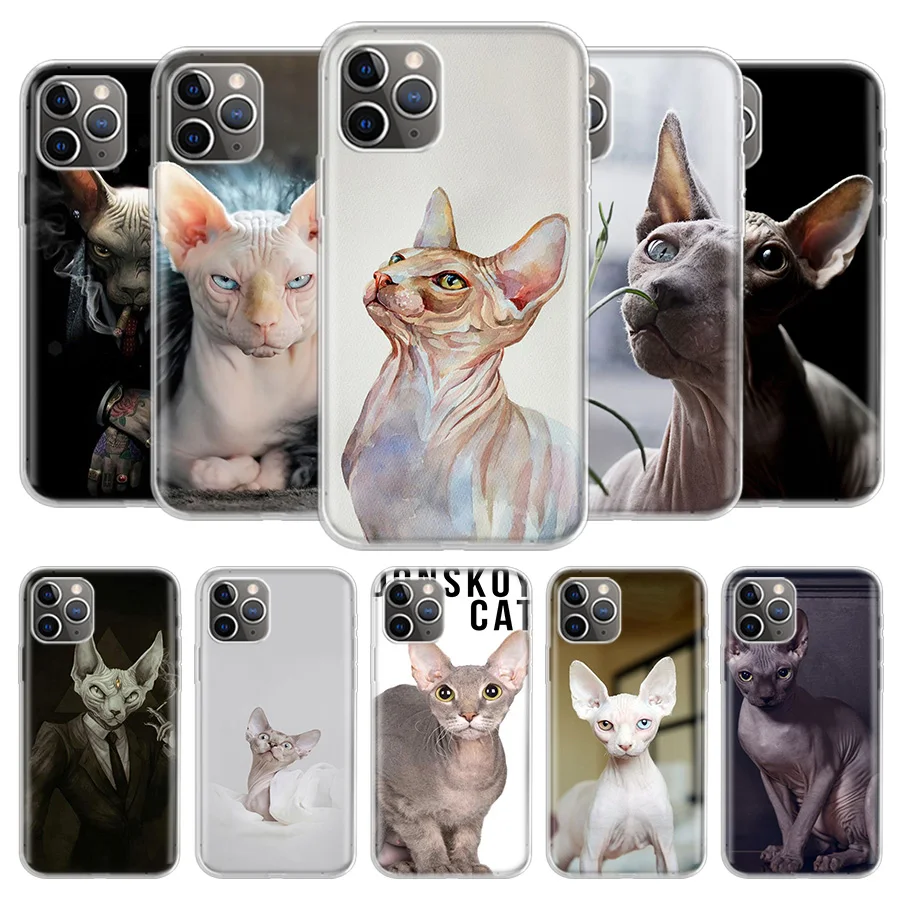 Чехол для телефона с котом Sphynx iPhone 11 12 Mini Pro 7 6X8 6S Plus XS MAX + XR 5S Eleven|Бамперы| |