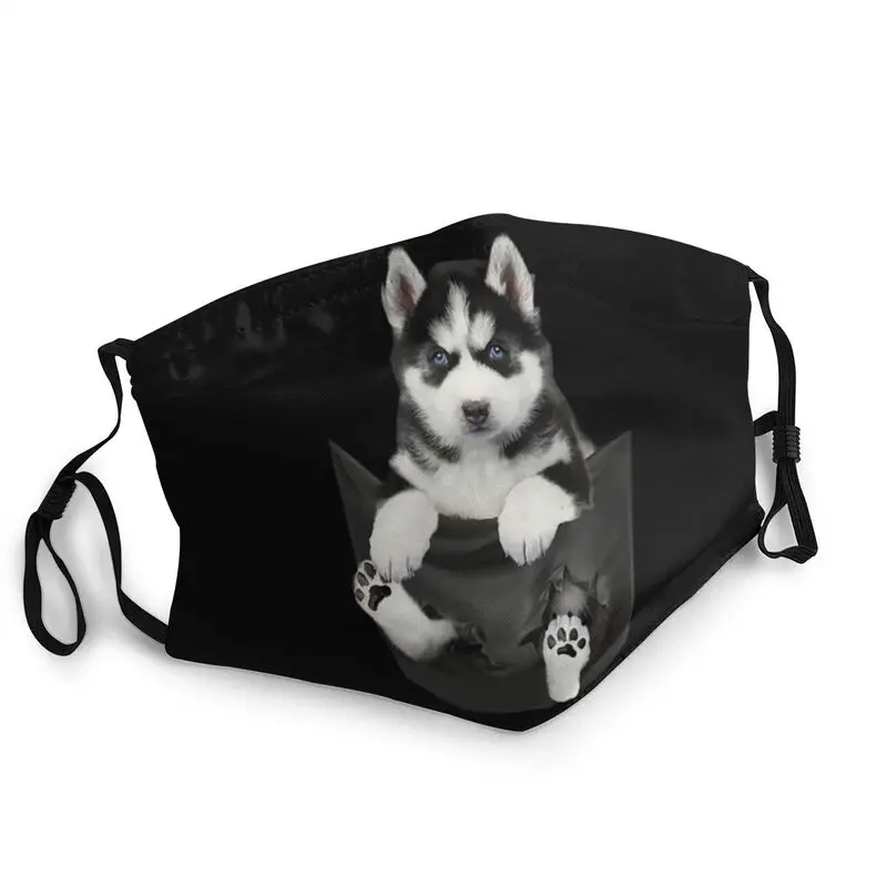 

Сибирский хаски в кармане маска для мужчин женщин мужчин защита от пыли смешная маска для собаки защитный респиратор неодноразовая маска д...