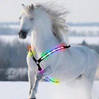 led horse breastplate collar bridle halter neon lights high visibility tack for night horse riding safety equestrian training