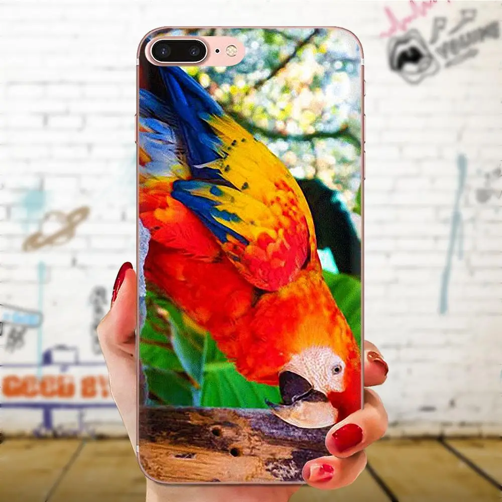 Мягкая защитная пленка из термополиуретана говорящая птица для huawei Honor mate 7 7A 8 9 10