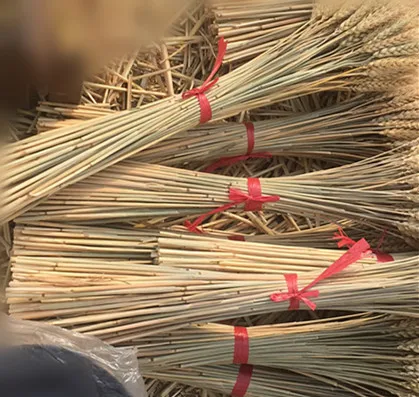 

50ps Natural Wheat Ear Wheat Rice Ear Farmhouse Opening Barley Real Dried Flower Bouquet Pastoral Dry Branch Gift Shooting Road