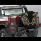 Чехол для колеса с изображением льва тигра животного 3d аксессуары для шин 16 дюймов запасной чехол для шины бесплатная доставка