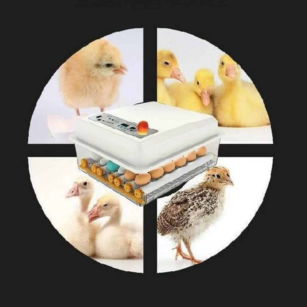

110V/220V Household 16 Eggs Incubator Double Power Intelligent Automatic Egg Hatchers for Chicken Duck Goose Pigeon Bird Quail