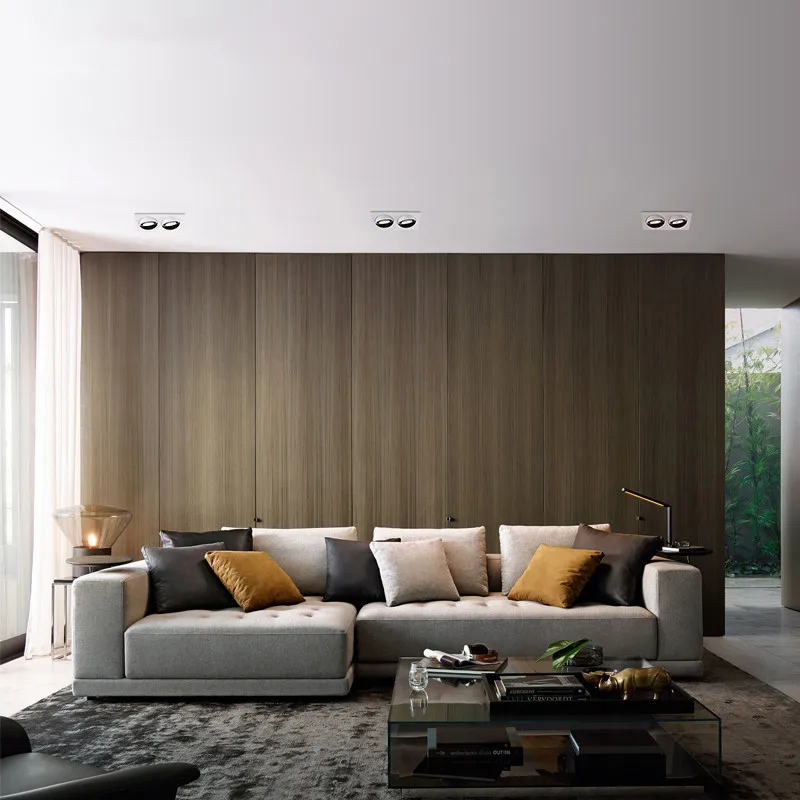 Встраиваемая потолочная лампа с двойной головкой и регулируемым углом 14 Вт 24