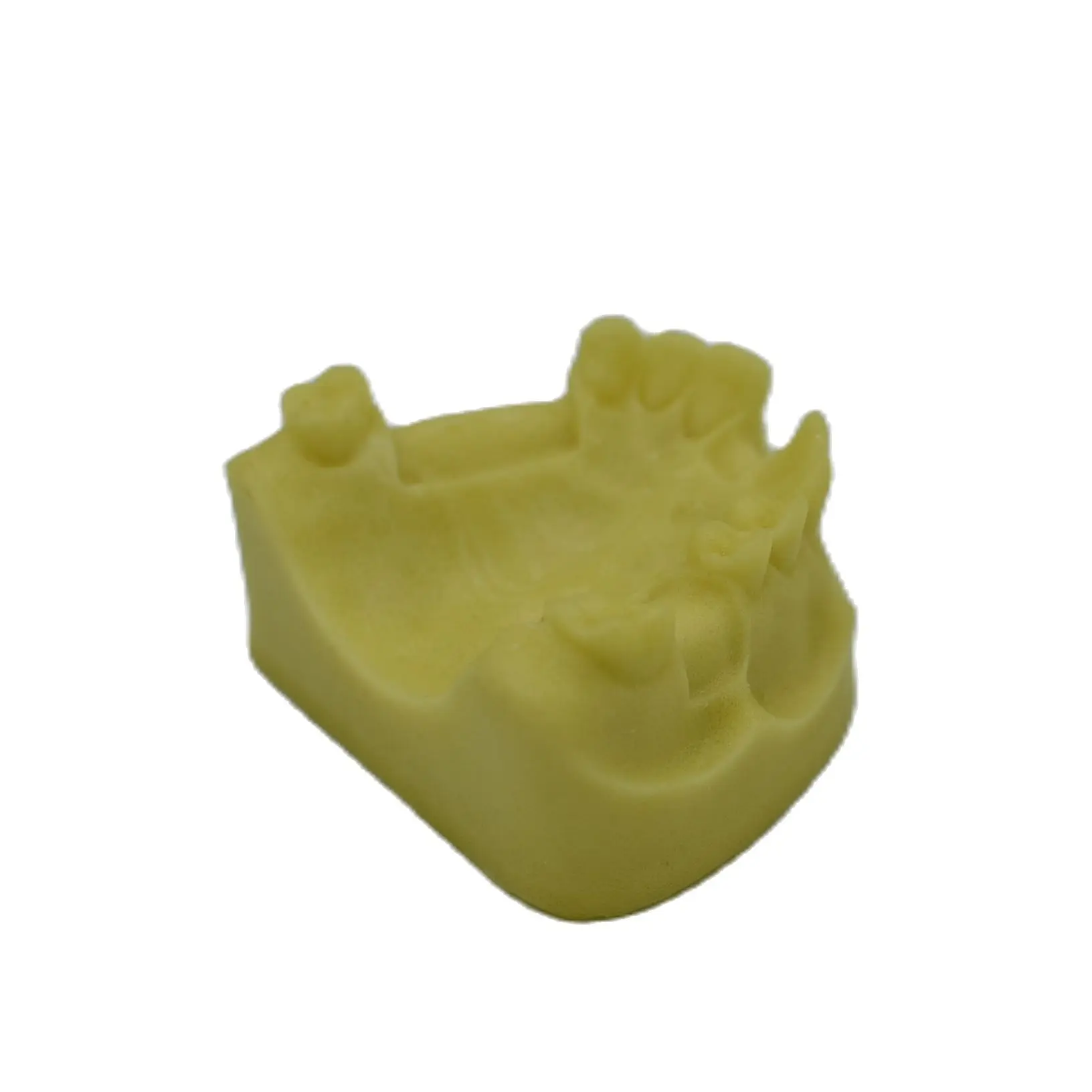 1 шт. Стоматологическая модель для имплантации зубов