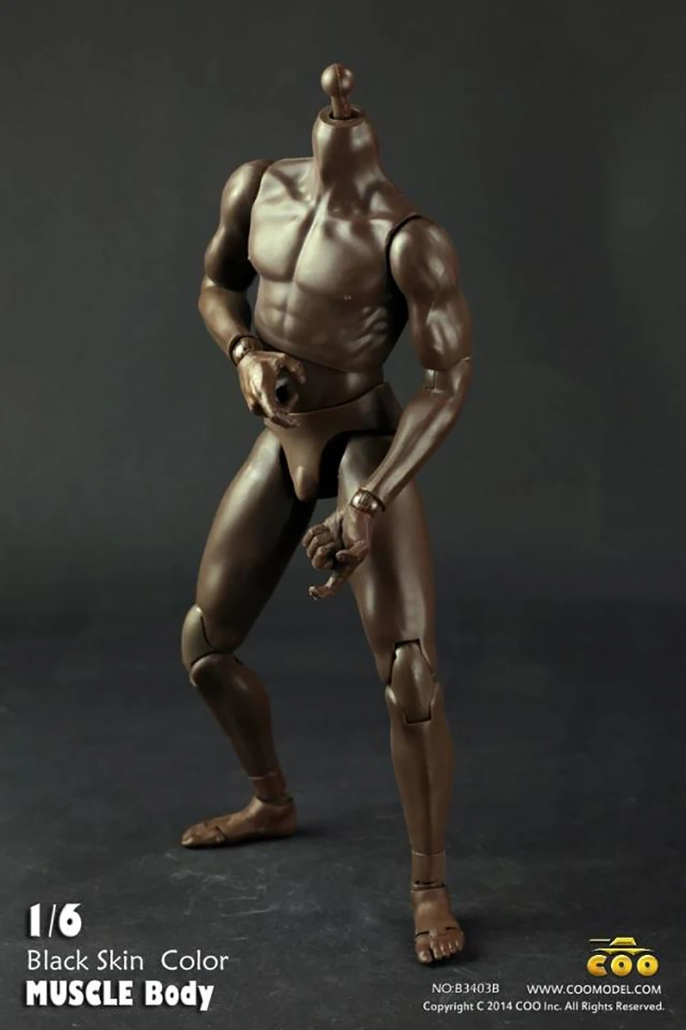 

1/6 Male Muscle Body Model COOMODEL B3403B F 12 "Action Figure Doll Accessories