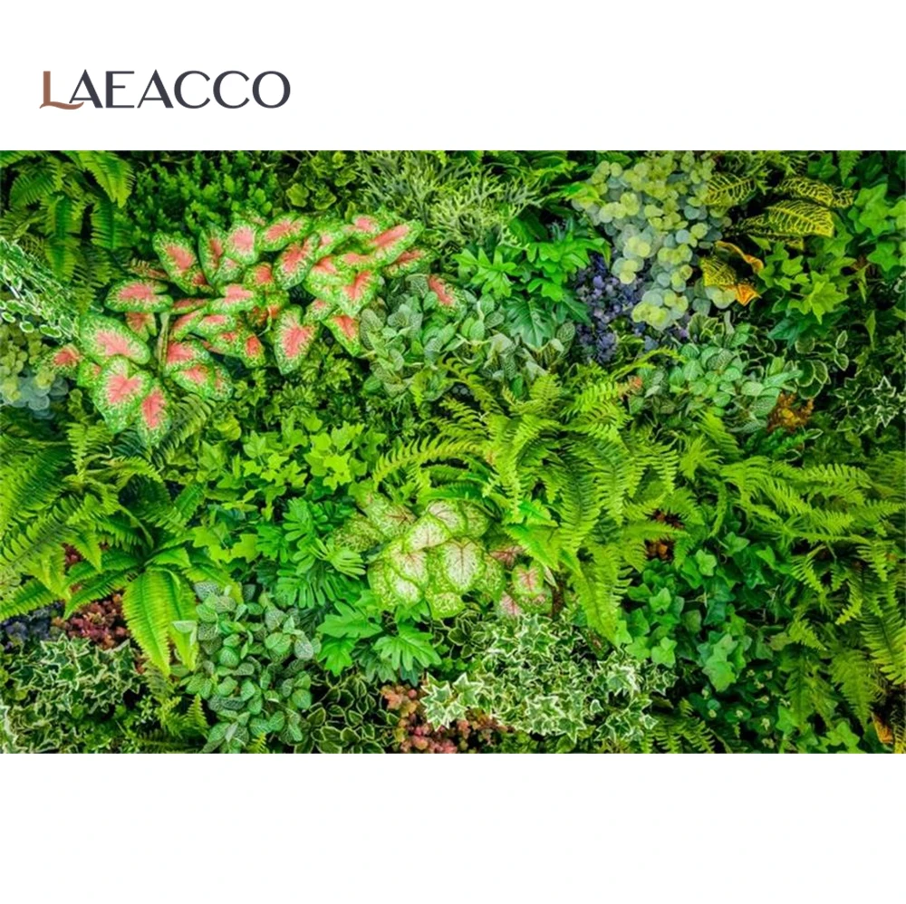 Laeacco тропические зеленые листья пальмы лето день рождения Плакат портрет фото