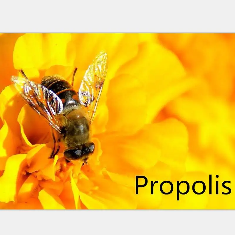 

1bottle/2bottles-Propolis anti-oxidant beauty enhances immunity, protects gastric mucos and inhibits can cer cells 1 bottle=60p