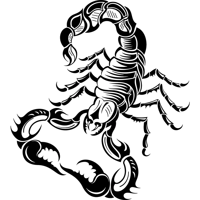 RuleMylife Fierce Scorpion Vinyl автомобильные наклейки с животными для ноутбука настенная