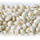 Бусины-подвески для бижутерии, 50 шт.