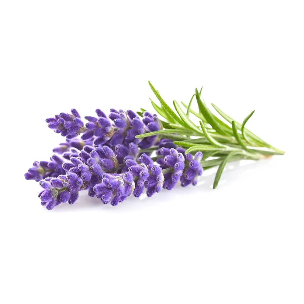 Купить 2 получить 1 AKARZ лучший набор еды Лаванда ESSENTIALOIL ароматерапия для кожи лица