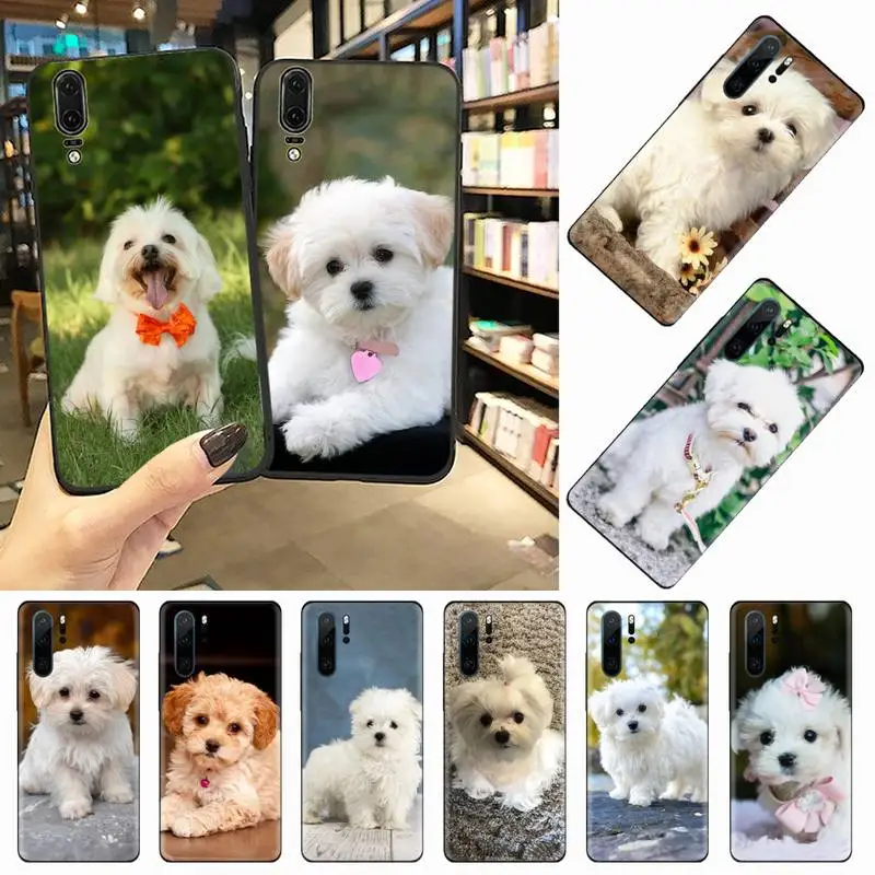 

Cute animal Maltese Dog Puppy Phone Case For Huawei honor Mate P 10 20 30 40 i 9 8 pro x Lite smart 2019 nova 5t