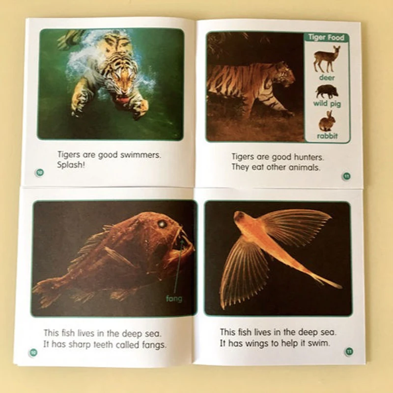 5 шт./набор детские книги с руководством на английском языке