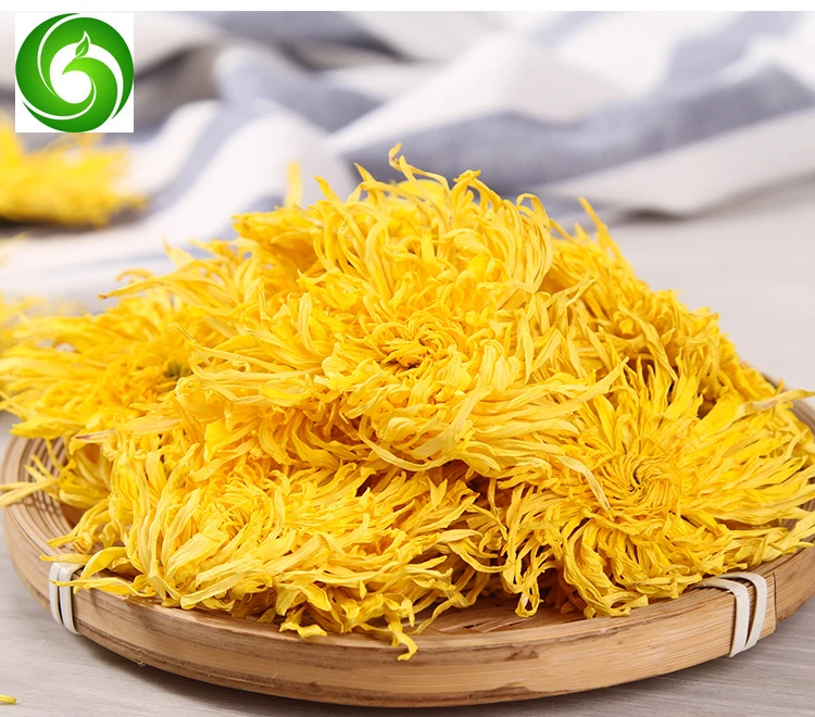 

Golden Silk Chrysanthemum, Rhubarb Chrysanthemum