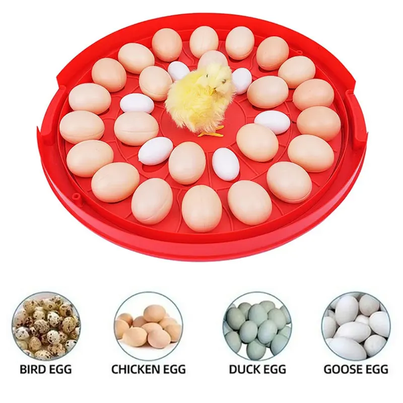 

Инкубатор для яиц, высокоэффективный автоматический инкубатор для птиц с контролем температуры, 30 яиц