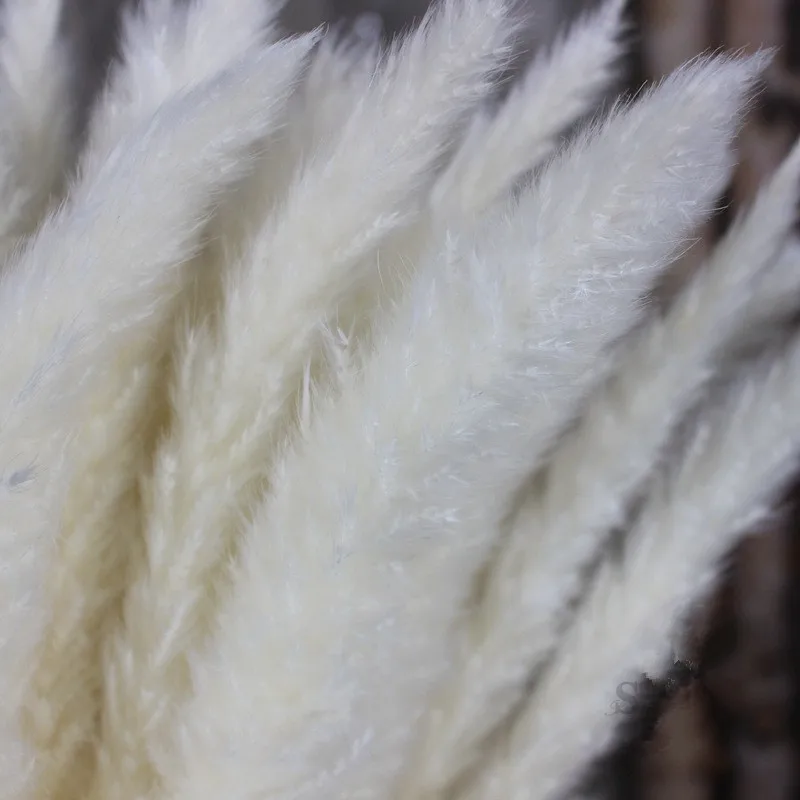 30 шт. Натуральные Сушеные пампасы трава тростниковые сушеные цветы натуральные