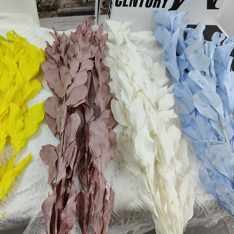 

Rushed Promotion Dried Orange Leaf Natural Preserved Floral Decor Dracaena Flowers Branch Eternell Wedding Home Decoration Party