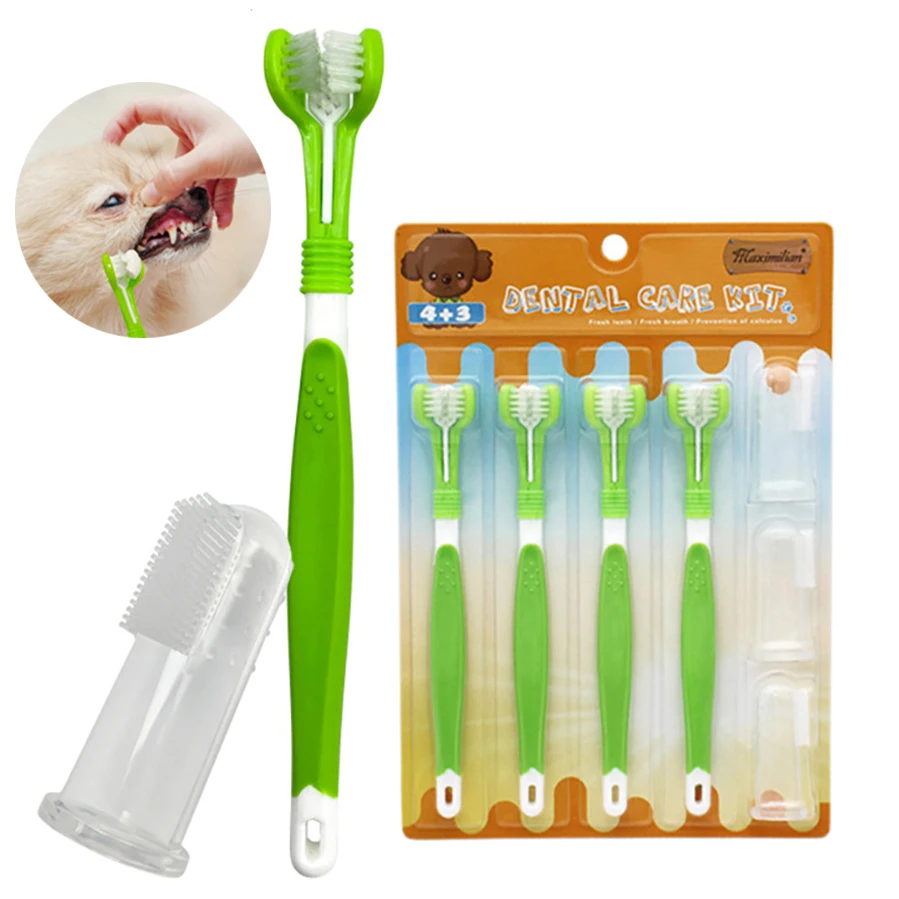 Kit de brosse à dents pour animaux domestiques  soins dentaires à trois têtes pour chiens et chats