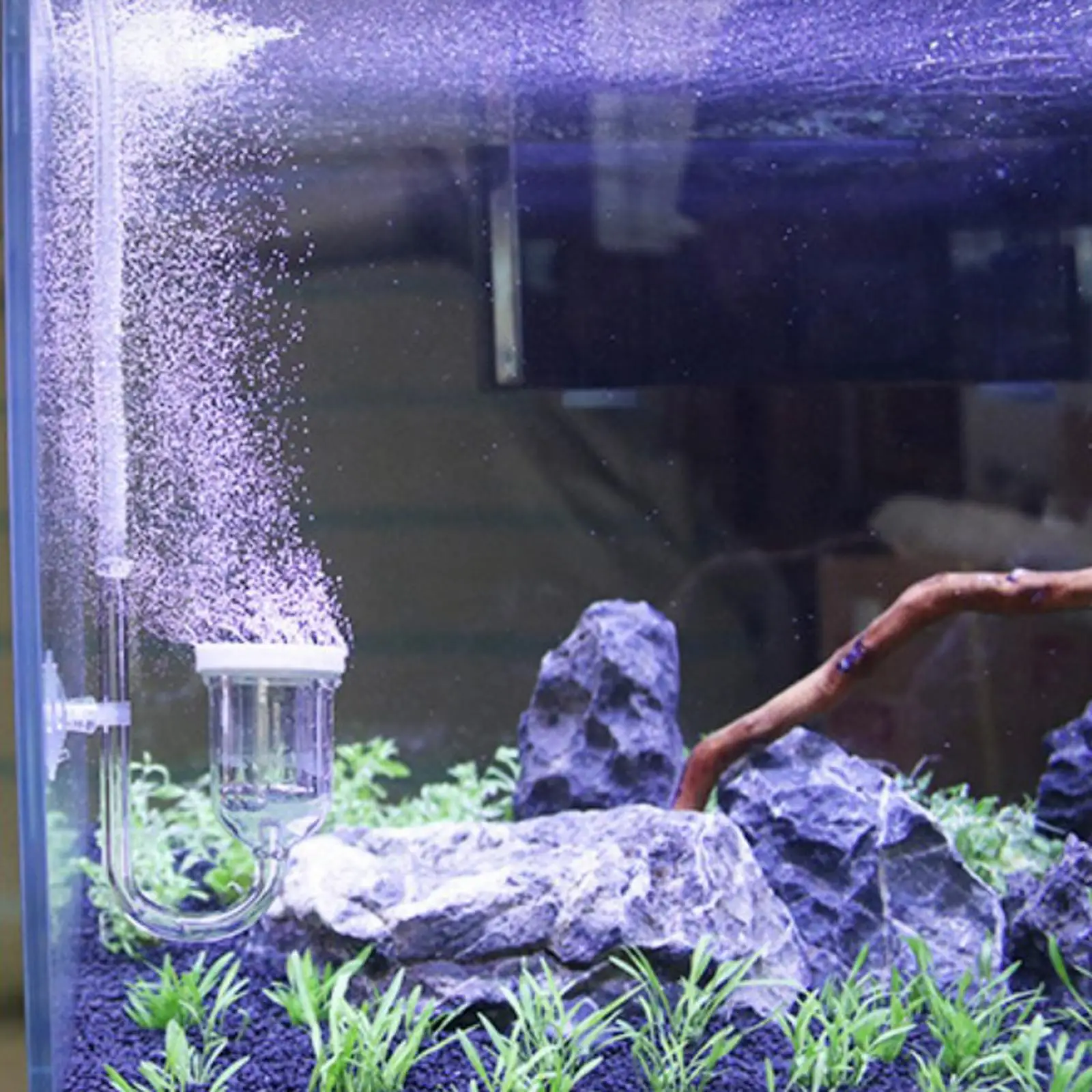 

Aquarium CO2 Diffuser w/ U-Shape Connecting Tube for Planted Tank