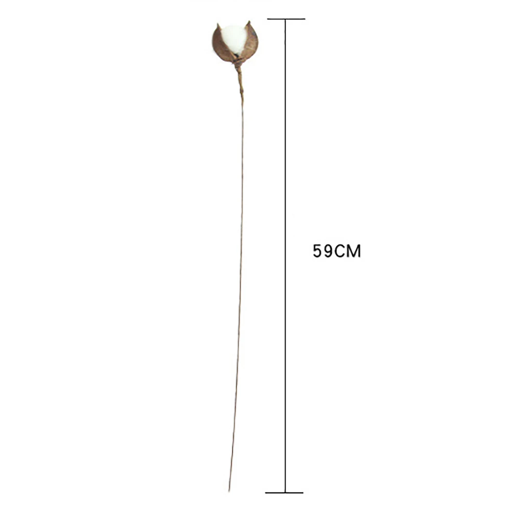 20 шт./Партия DIY естественные высушенные хлопковые стебли фермерский дом