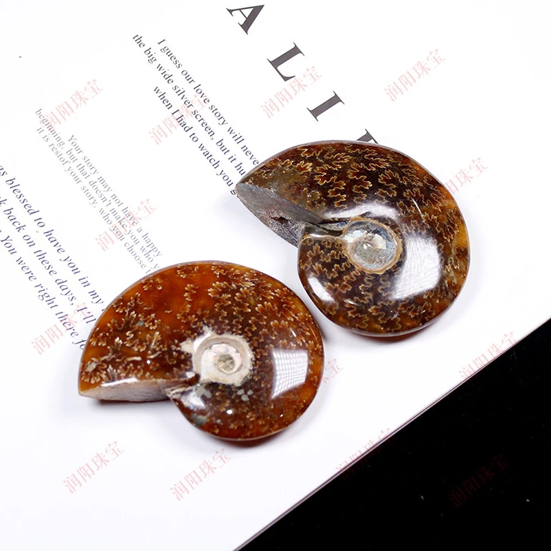 

1PCS Natural Iridescent Ammonite Facet Specimen Fossil Madagascar Stone Gem Collect