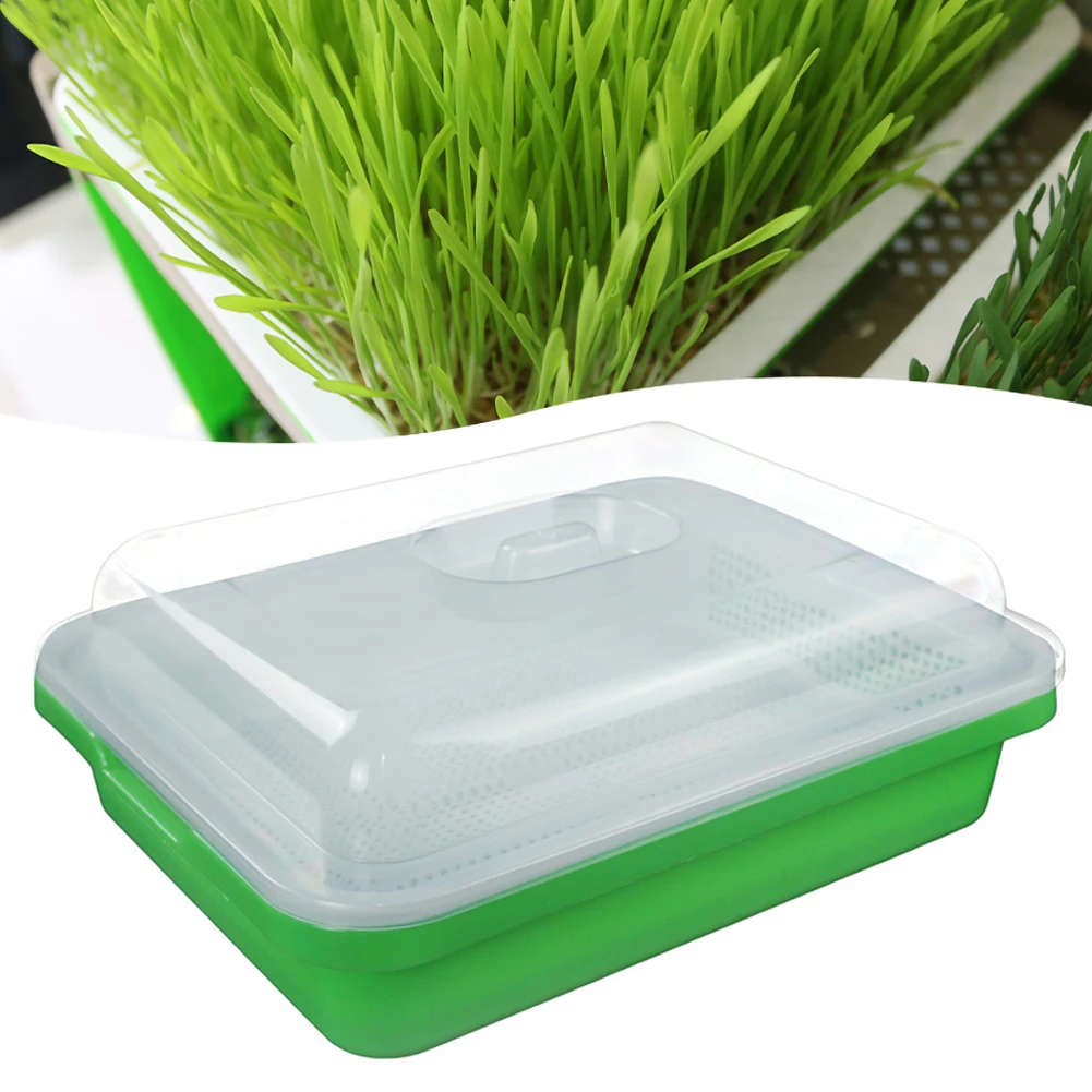 

Thicken and Deepen Sprouts Planting Plate with Moisturizing Insulation Cover Double Encryption Seedling Plate Sprouts Multi-func