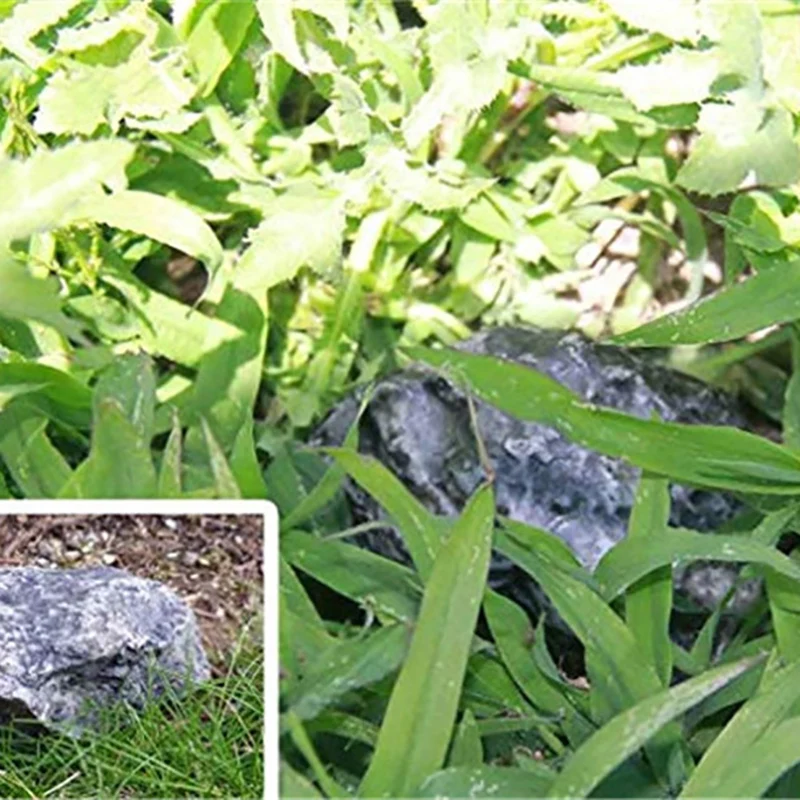 Creative Novelty Key Rock Fake Artificial Stone Hide A Spare Hiding Hider Fashion Simulation | Дом и сад