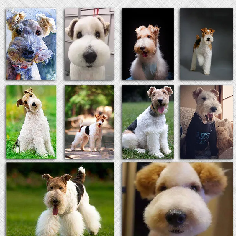 5d полная круглая Алмазная вышивка с изображением собаки картина щетиной лисы