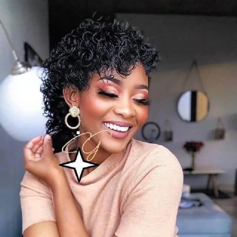 Haever Pixie Cut Wig Short Curly Human Hair Wigs Cheap Human Hair Wig 13X1 Transparent Lace Wig For Women Human Hair Pre Plucked