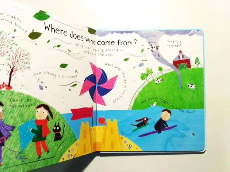 Usborne Lift-the-flap первые вопросы и ответы что делает это дождь английский обучающие