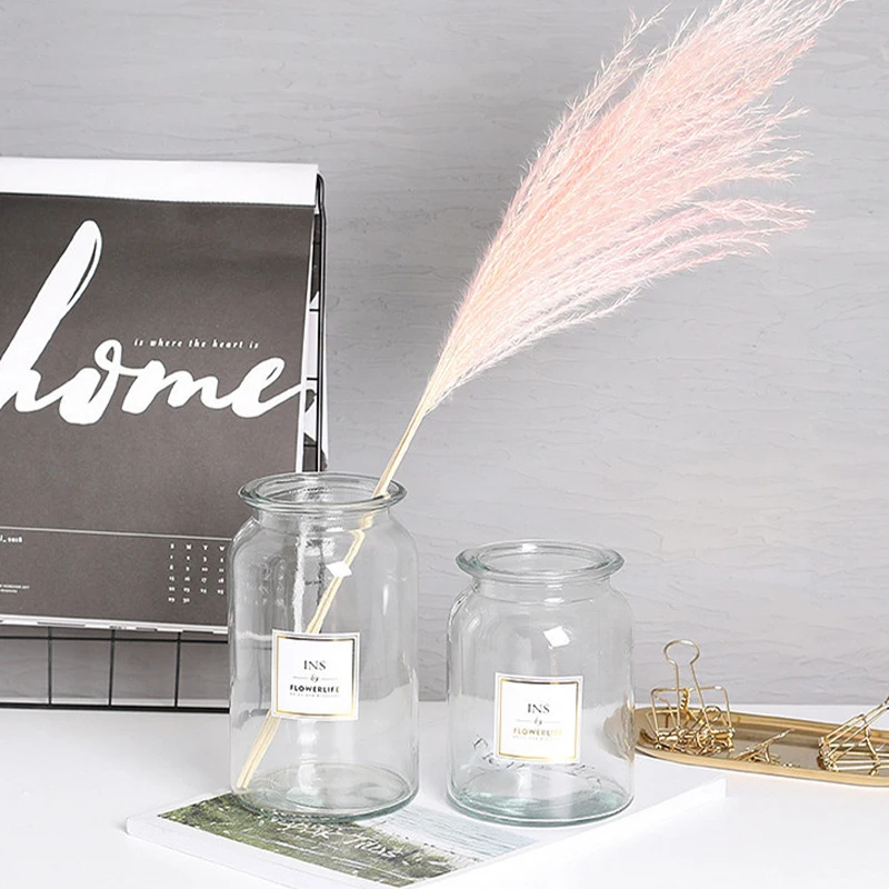 Стеклянная ваза для цветов Strongwell в скандинавском стиле стеклянный держатель