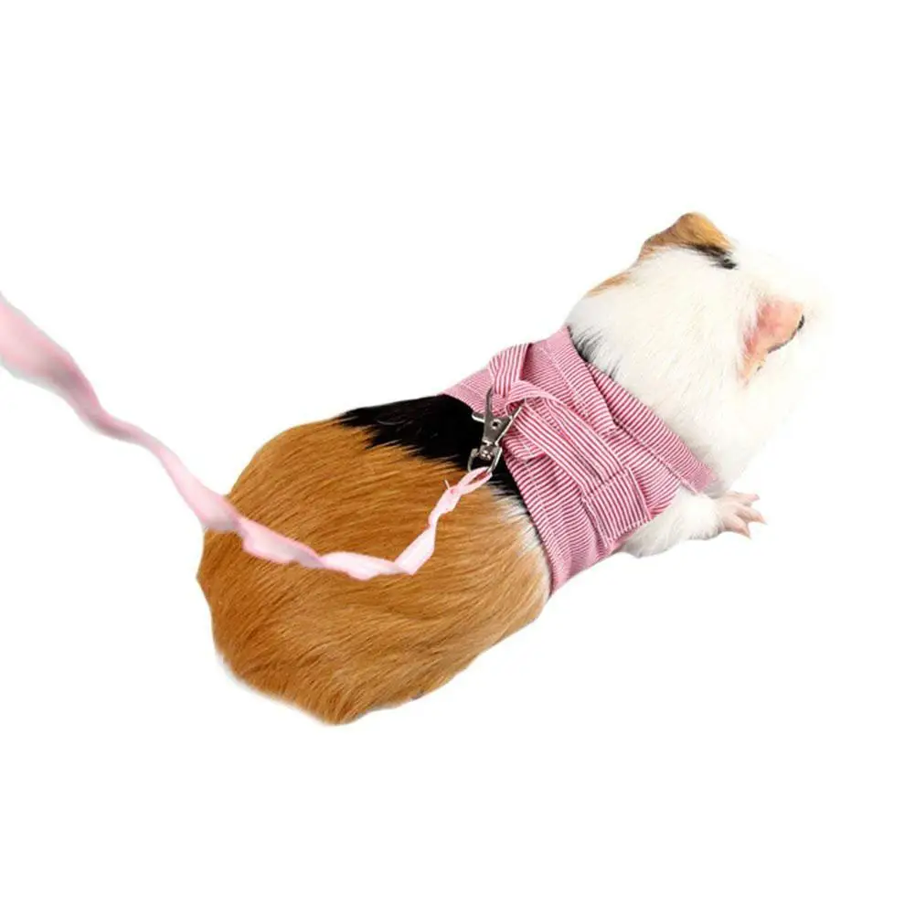 HobbyLane Pet Hamster Traction Strap Outdoor Training Soft Cotton Clothes Rope for Guinea Pig | Дом и сад