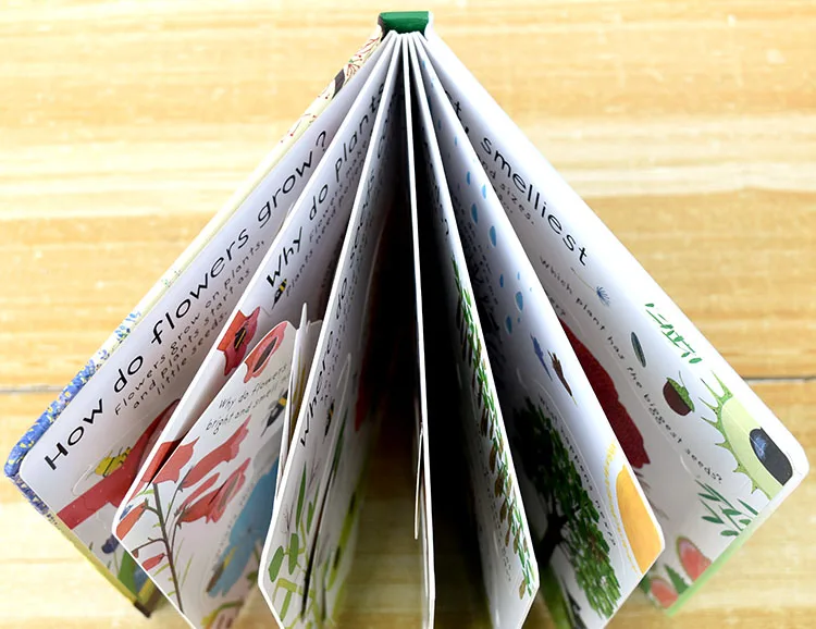 Первые вопросы и ответы через Usborne как расти цветок английские Обучающие книжки с