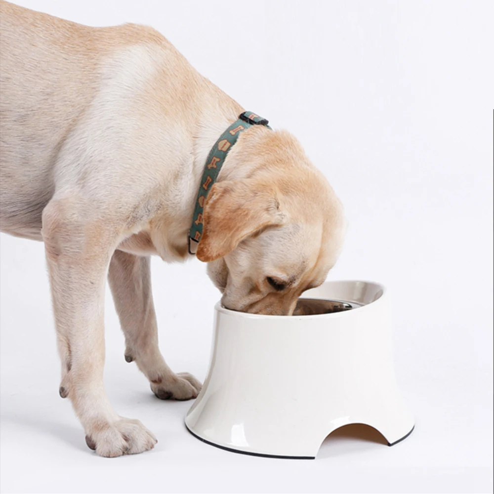 

Dog Feeder Drinking Bowls For Dogs Cats Pet Food Bowl Pet Bowl With Stand Dishwasher Safe Puppy Feeding Stainless Steel