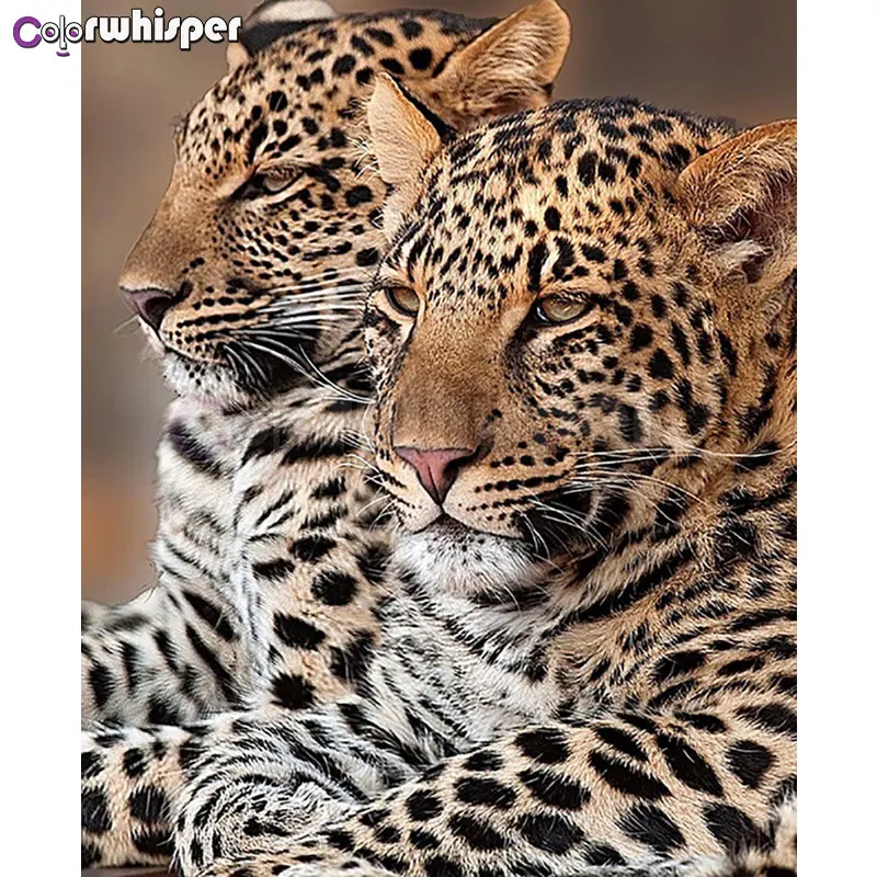 

Diamond Painting Full Square/Round Drill Leopard 5D Daimond Painting Embroidery Mosaic Cross Stitch Picture Wall Art Decor Z977