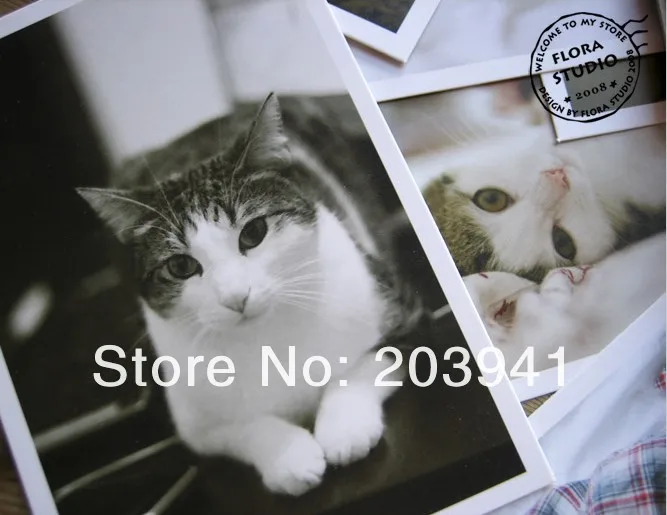 28 звёзд симпатичная новинка кошка в животном стиле креативный подарок случайная